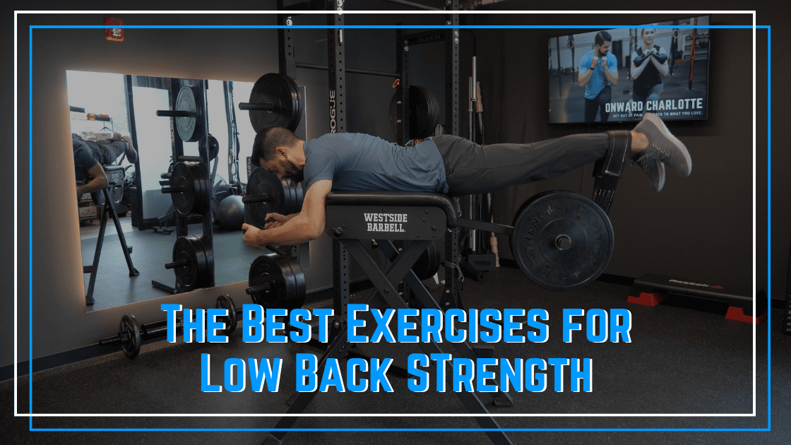 Best Exercises for Low Back Strength